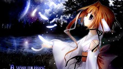 Anime USA nekomimi animal ears