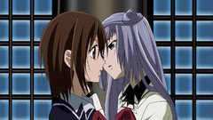Anime vampire knight