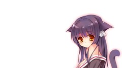 Anime white background anime girls nekomimi animal ears cat 