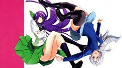 Anime white hair anime girls blue eyes yellow eyes highschool 