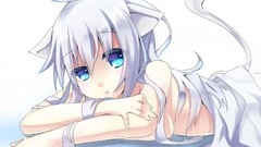 Anime white hair big eyes anime girls blue eyes animal ears 