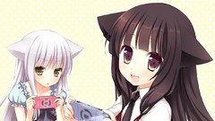 Anime white hair long hair anime girls green eyes brown eyes 