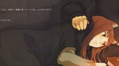 Anime Wolves spice and wolf animal ears Holo The Wise Wolf