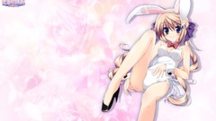 Anime Zoom studio long hair anime girls blue eyes animal ears 