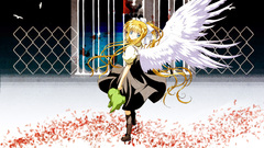 Animepaper air kitten Manga