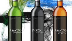 Animus Citroen C1 ivson