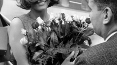 Annex cardinale Claudia high