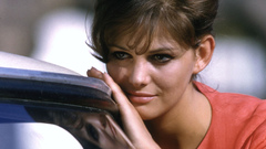 Annex cardinale Claudia high