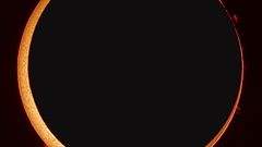 Annular seip bigneed high