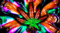 Another marijuana high found trippy Resolution