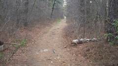 Another of same thing