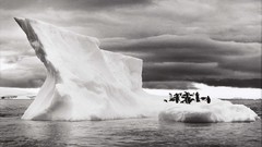 Antarctica 2005 icebergs Sebastião Salgado