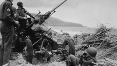 Anti-aircraft algeria