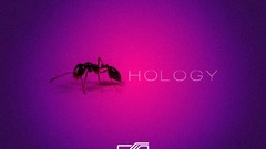 Ants anthology DNDESIGN
