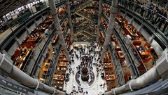 Ants farm cityscapes