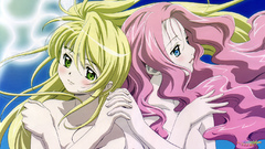 Any contributions would Be