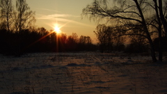 Any graffity plz high