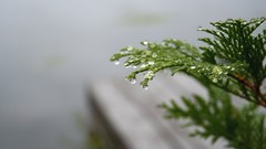 Anyone have some More