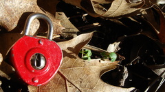 Anyone seen key around