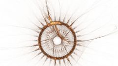 Apophysis bit of fractal