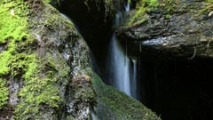 Apple falls Landscapes nature