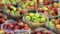 Apple fruit food Food