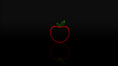 Apple inc