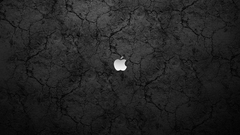 Apple inc