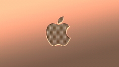 Apple inc
