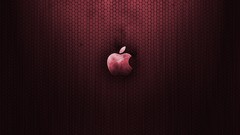 Apple inc