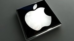 Apple inc