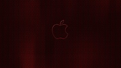 Apple inc