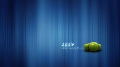 Apple inc