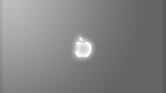 Apple inc