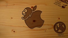Apple inc