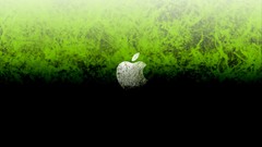 Apple inc