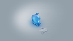 Apple inc