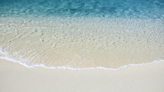 Apple inc mac macintosh