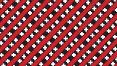 Apples Amsterdam Incase