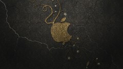Apples apple inc