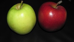 Apples fruits