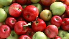 Apples fruits