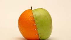 Apples oranges fruits stitch