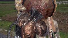 April Turkey high 2008 Resolution