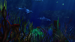Aqua marine Aquarium and