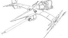 Aquarium and Fish cowboy