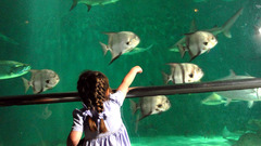 Aquarium high Aquarium and