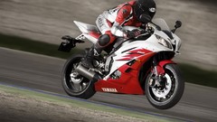 Arai yamaha r6 motorbikes wheelie