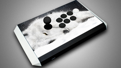 Arcade stick