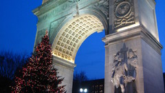 Arch tree Washington square